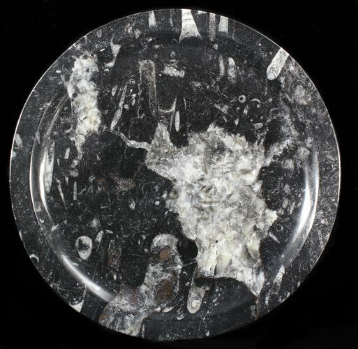 Fossil Orthoceras & Goniatite Plate - Stoneware #40432